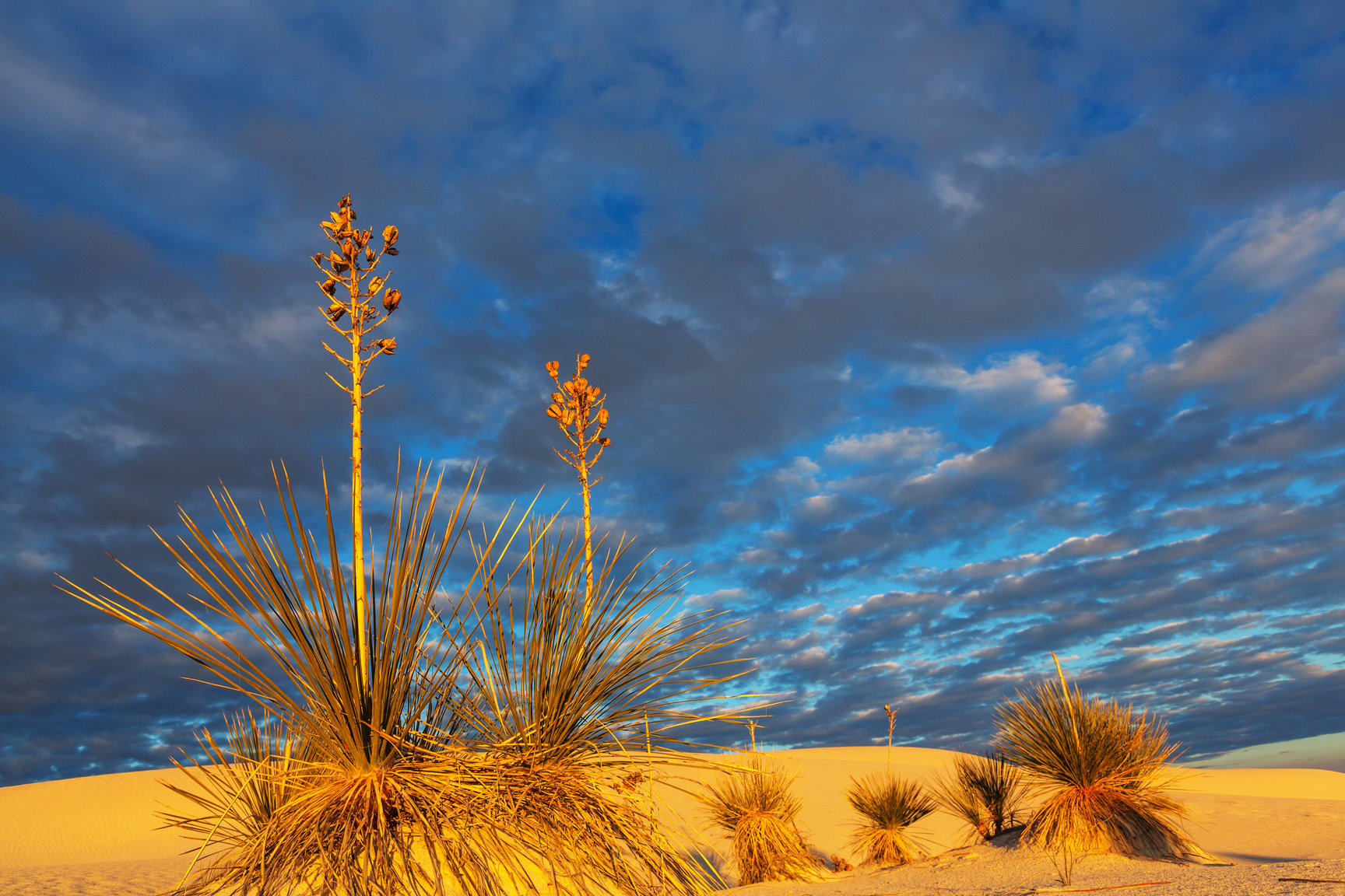 White Sands